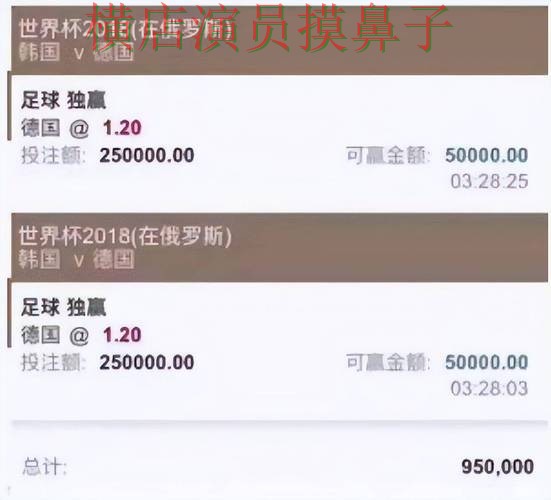 世界杯直播背景下的世界杯投注平台推荐精选与真实体验 世界杯直播背景下的世界杯投注平台推荐精选与真实体验