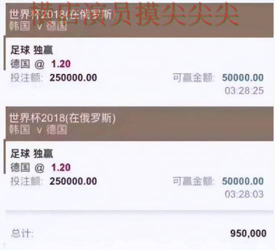 世界杯直播期间热门世界杯投注平台全面分析与直播入口分析